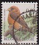 Belgium - 2000 - Fauna - 1 FR - Multicolor - Fauna, Birds - Scott 1785 - Bird Beccroisé des Sapins - 0